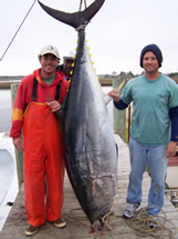 Southport fishing bluefin tuna